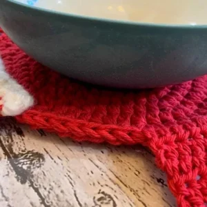 Festive Santa Pot Holder