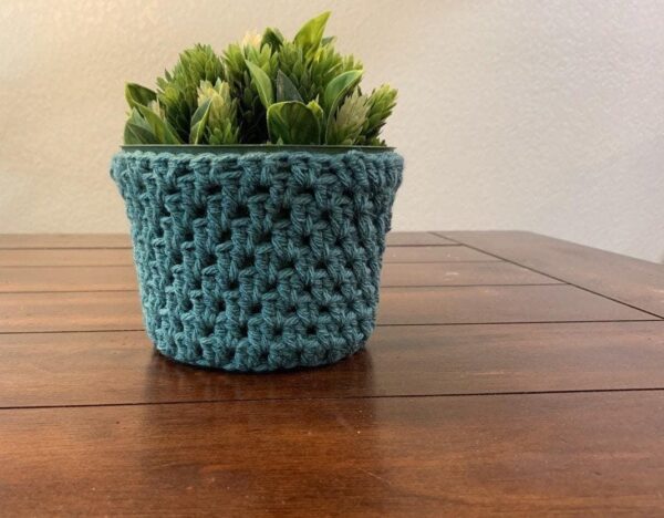 Charming Crochet Plant Cozy