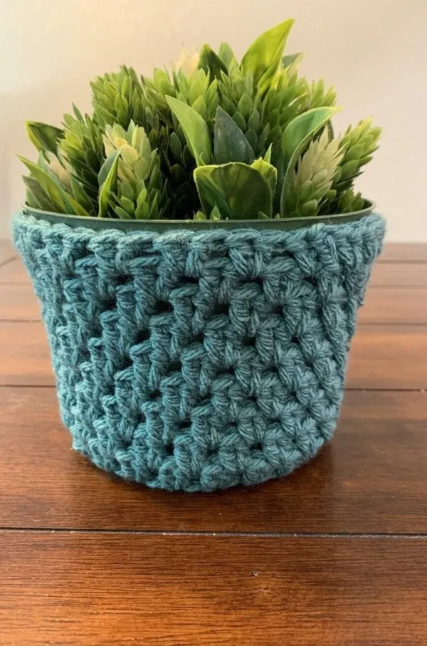 Crochet Plant Cozy