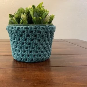 Charming Crochet Plant Cozy - Image 2