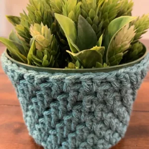 Charming Crochet Plant Cozy - Image 4