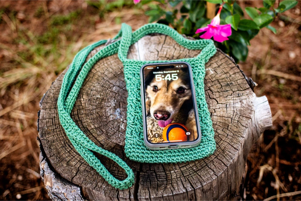 Crochet Bags and Totes